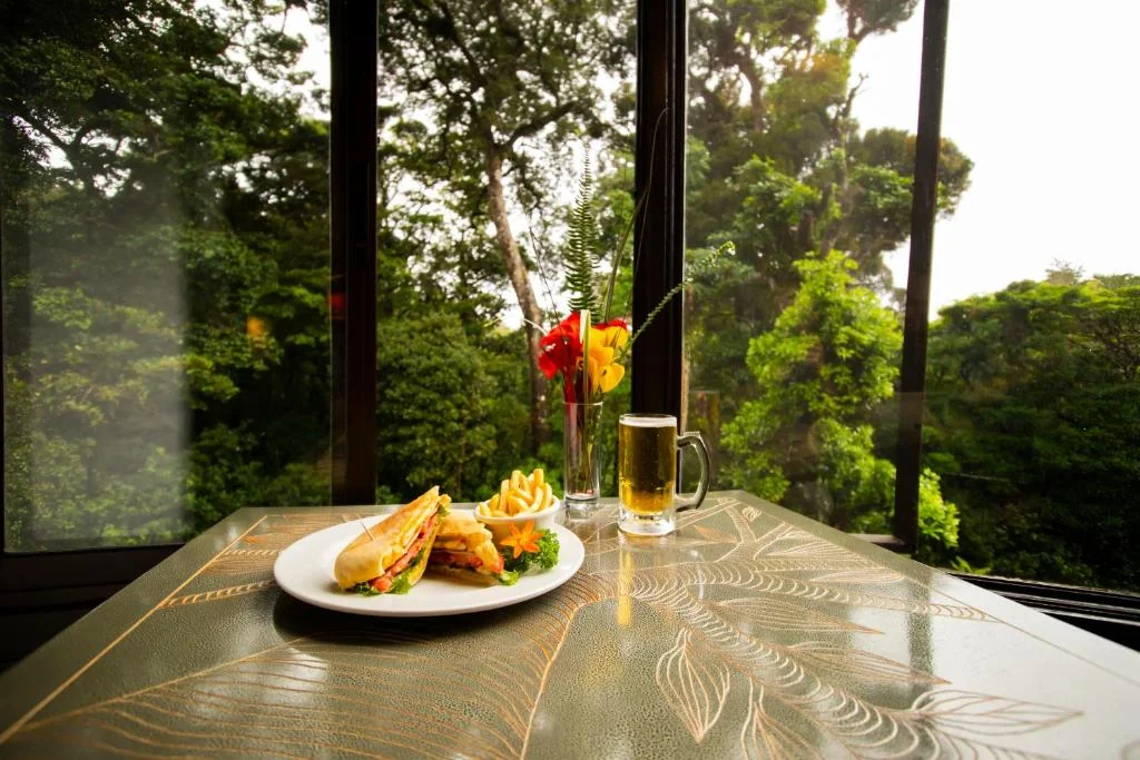 Restaurant with forest view
